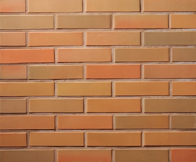 Кирпич лицевой Lode Rudite, 250x120x65