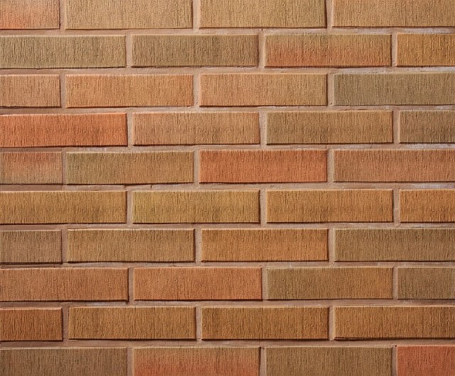 Кирпич лицевой Lode Asa Rudite, 250x85x65