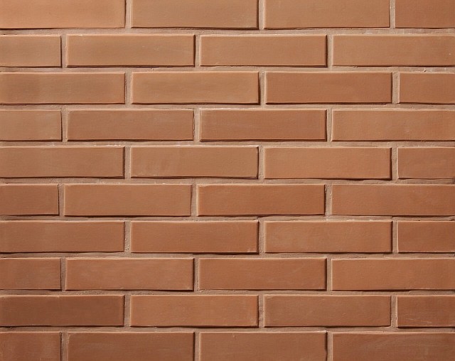 Кирпич лицевой Lode Rudis, 250x120x65