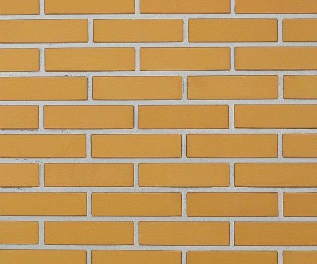 Кирпич лицевой Lode Dzintra, 250x120x65