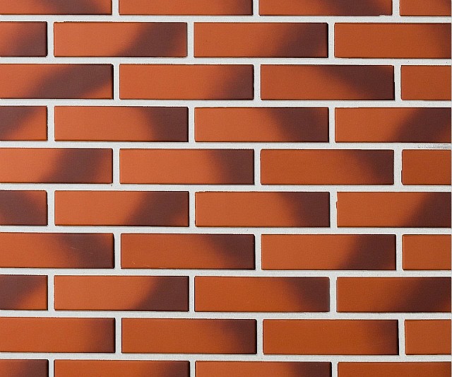 Кирпич лицевой Lode Cameleo, 250x120x65