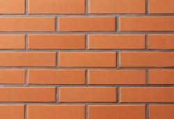 Облицовочная плитка Lode JANKA, 250x65x10