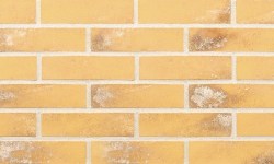 Облицовочная плитка Lode LAIMA, 250x65x10
